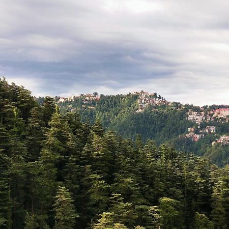Neha Homestay Shimla Exterior photo
