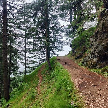 Neha Homestay Shimla Exterior photo