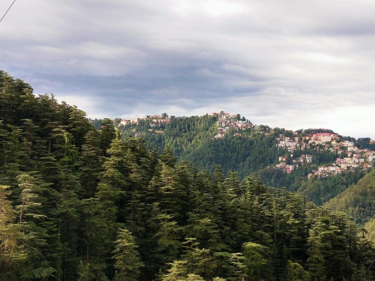 Neha Homestay Shimla Exterior photo