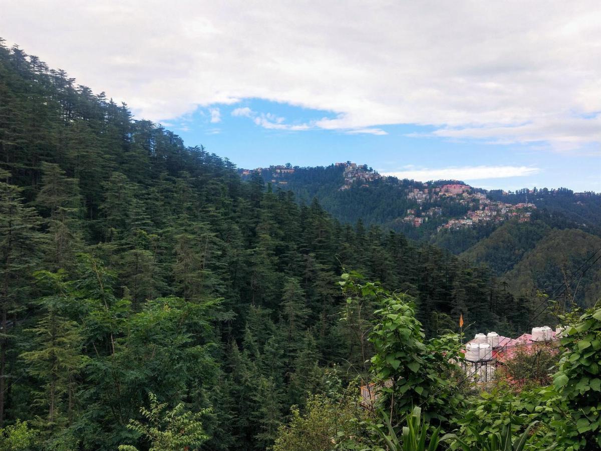Neha Homestay Shimla Exterior photo