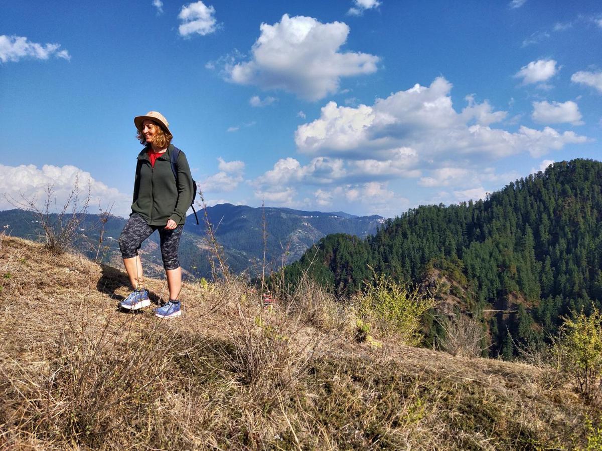 Neha Homestay Shimla Exterior photo