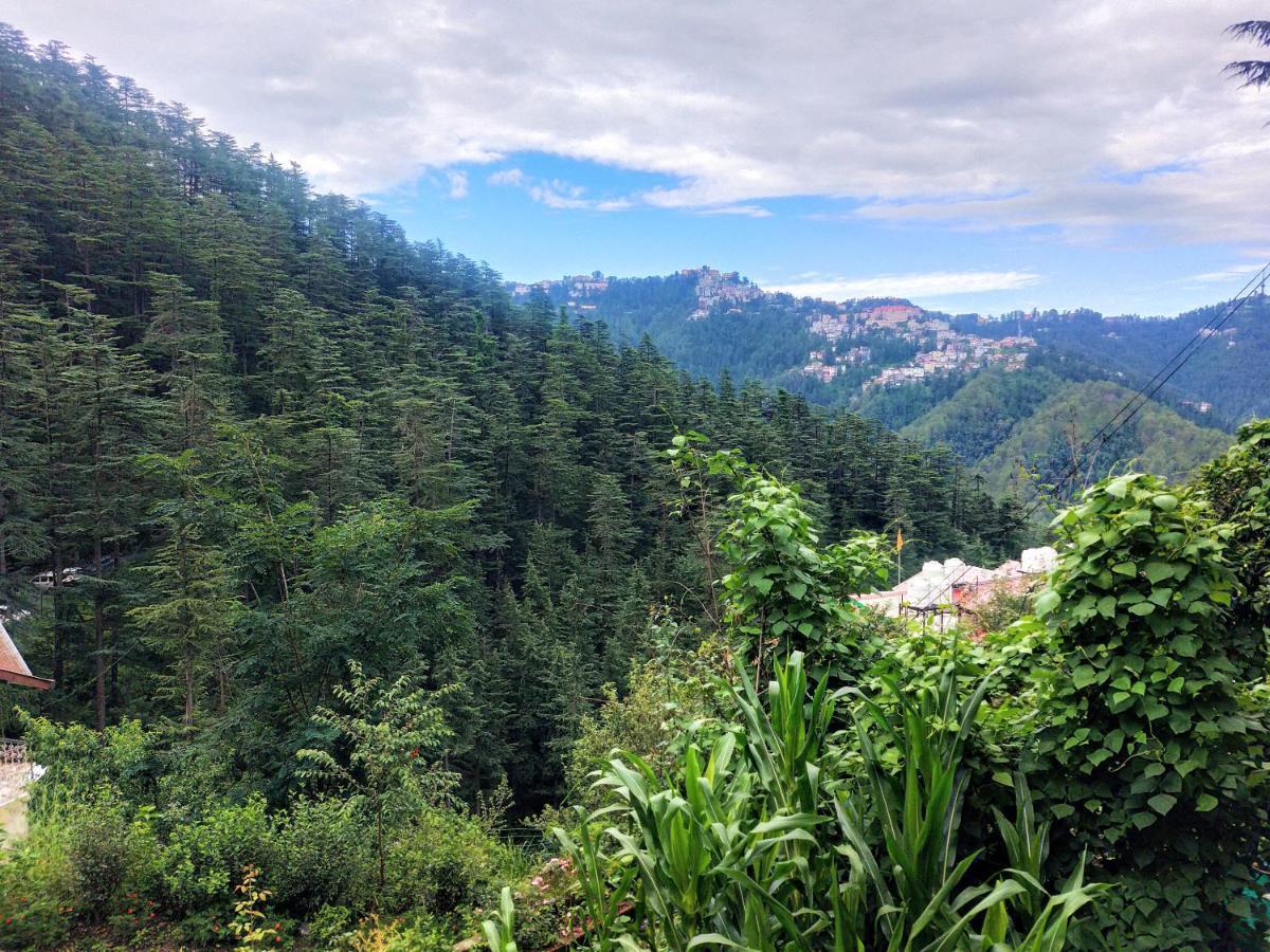 Neha Homestay Shimla Exterior photo