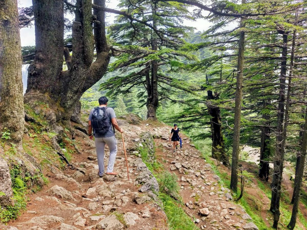 Neha Homestay Shimla Exterior photo
