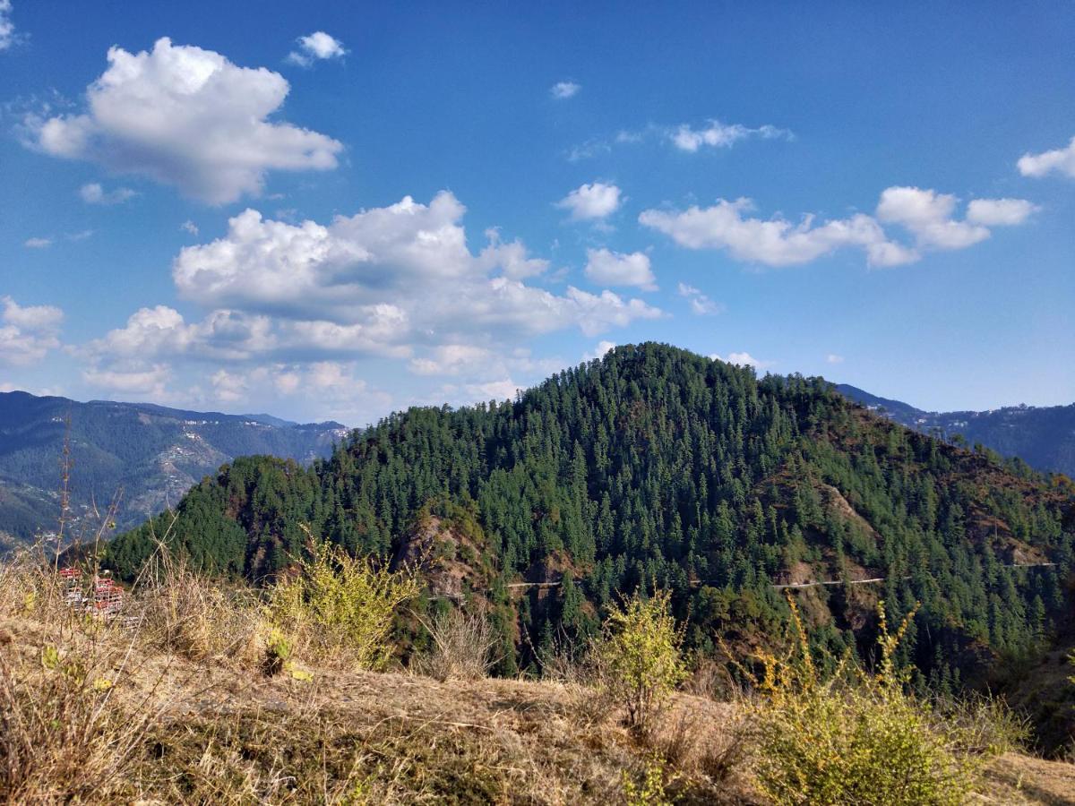 Neha Homestay Shimla Exterior photo
