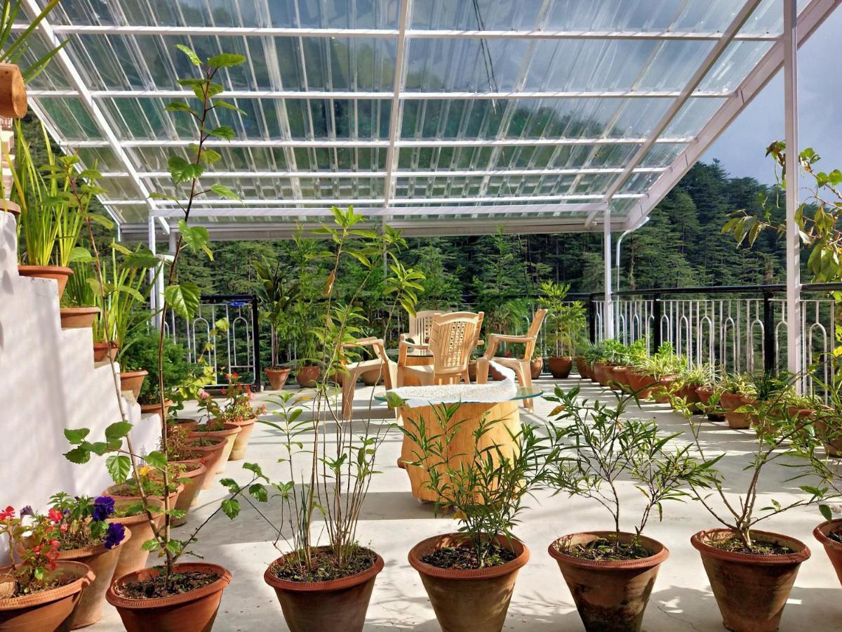 Neha Homestay Shimla Exterior photo