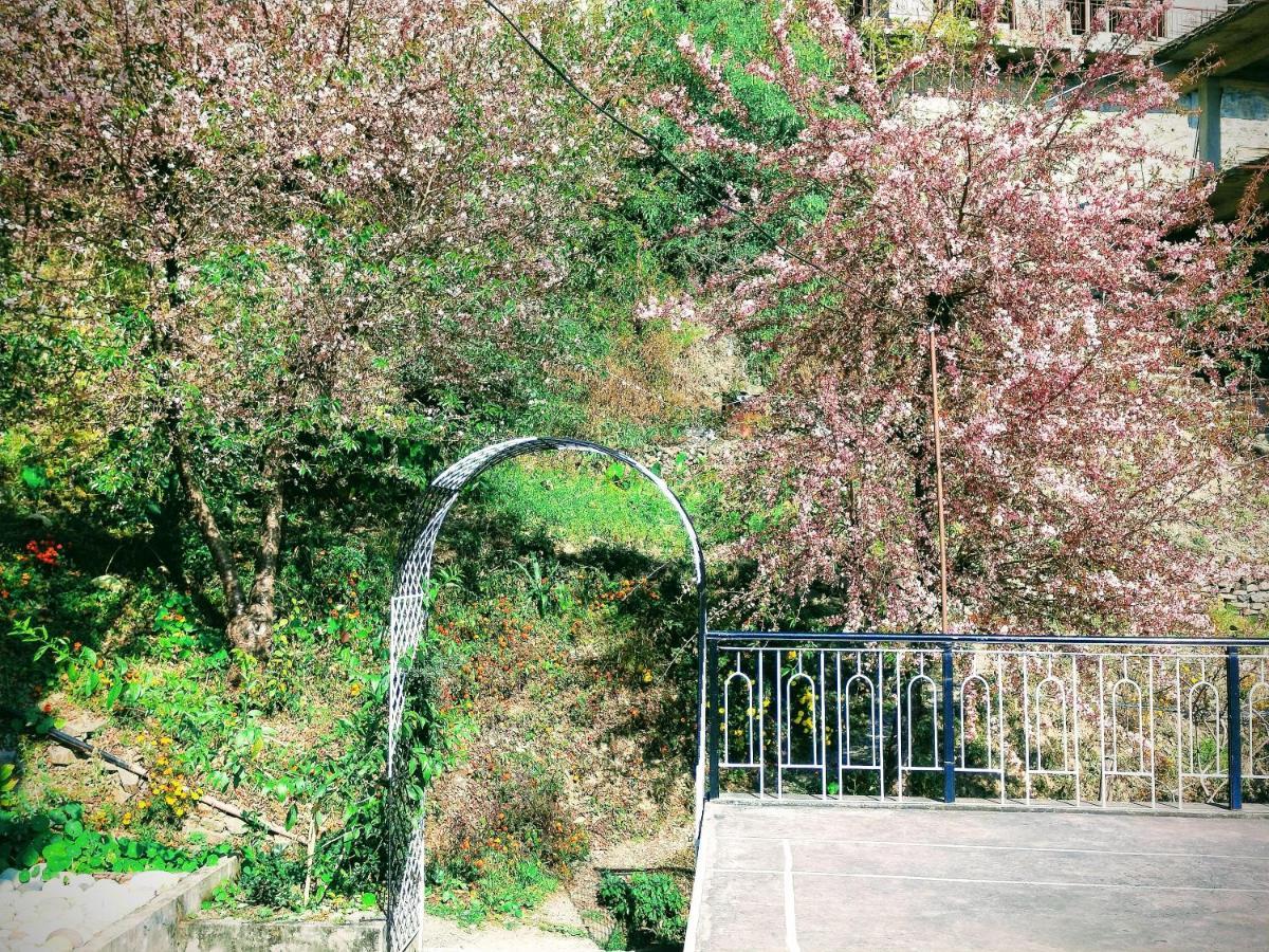 Neha Homestay Shimla Exterior photo