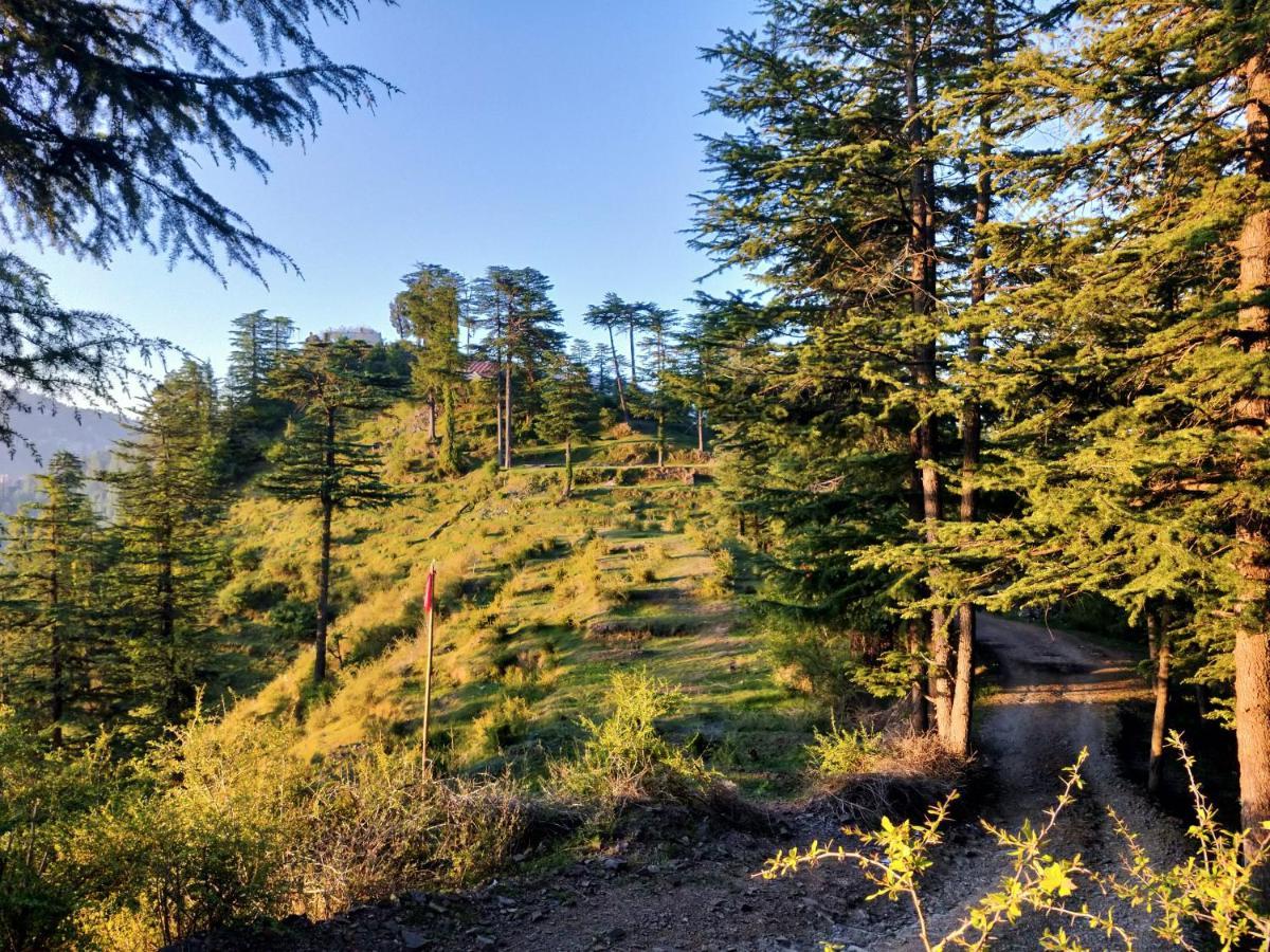 Neha Homestay Shimla Exterior photo