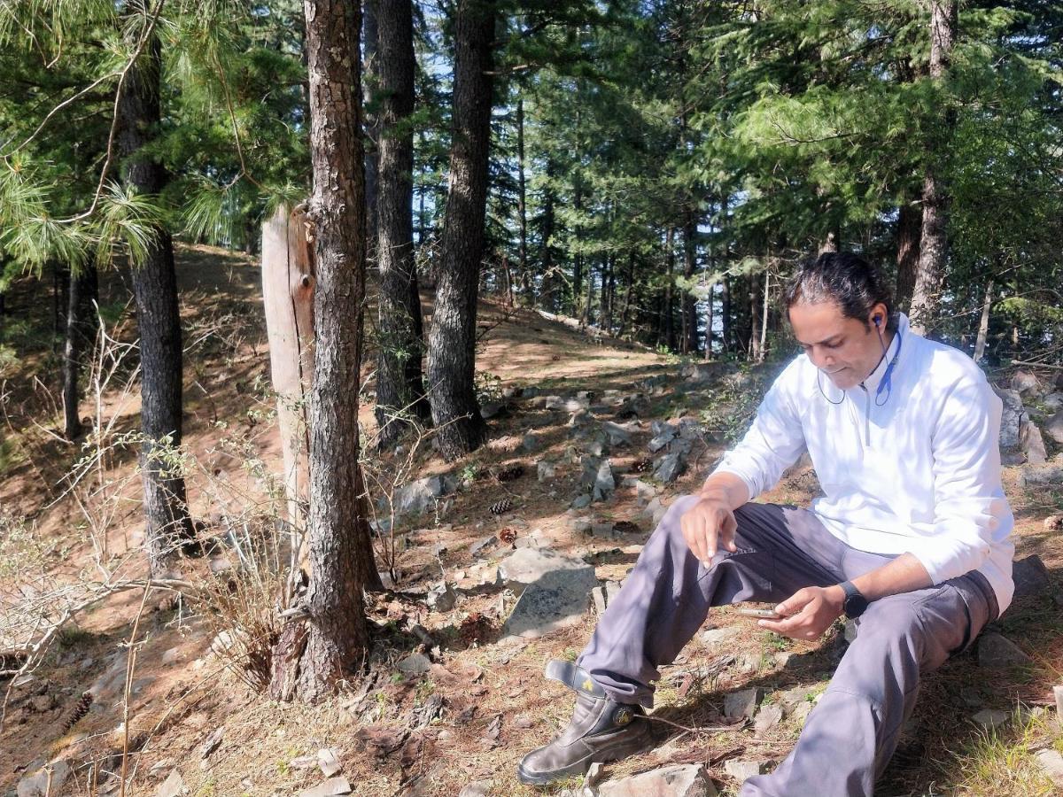 Neha Homestay Shimla Exterior photo
