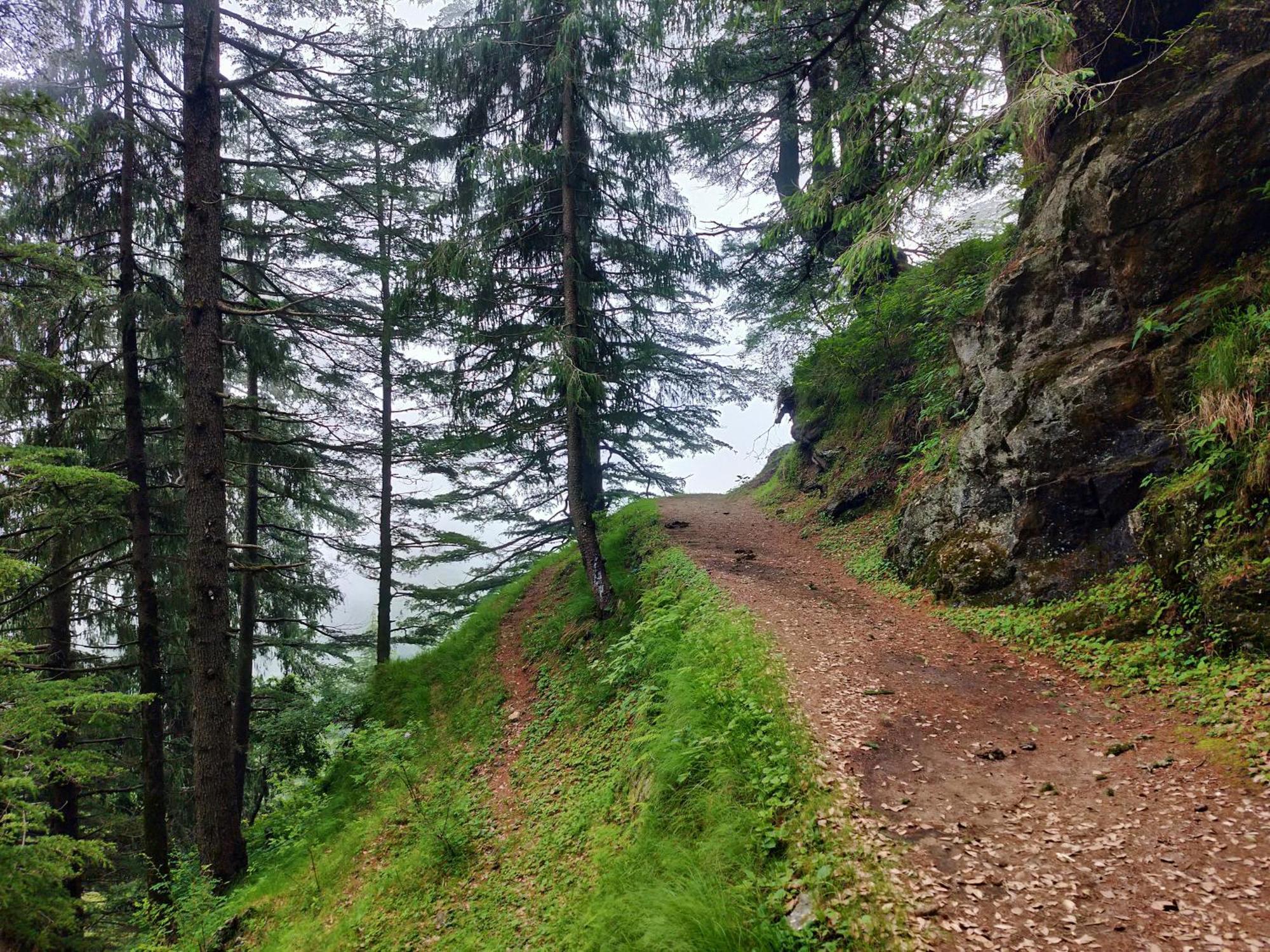 Neha Homestay Shimla Exterior photo