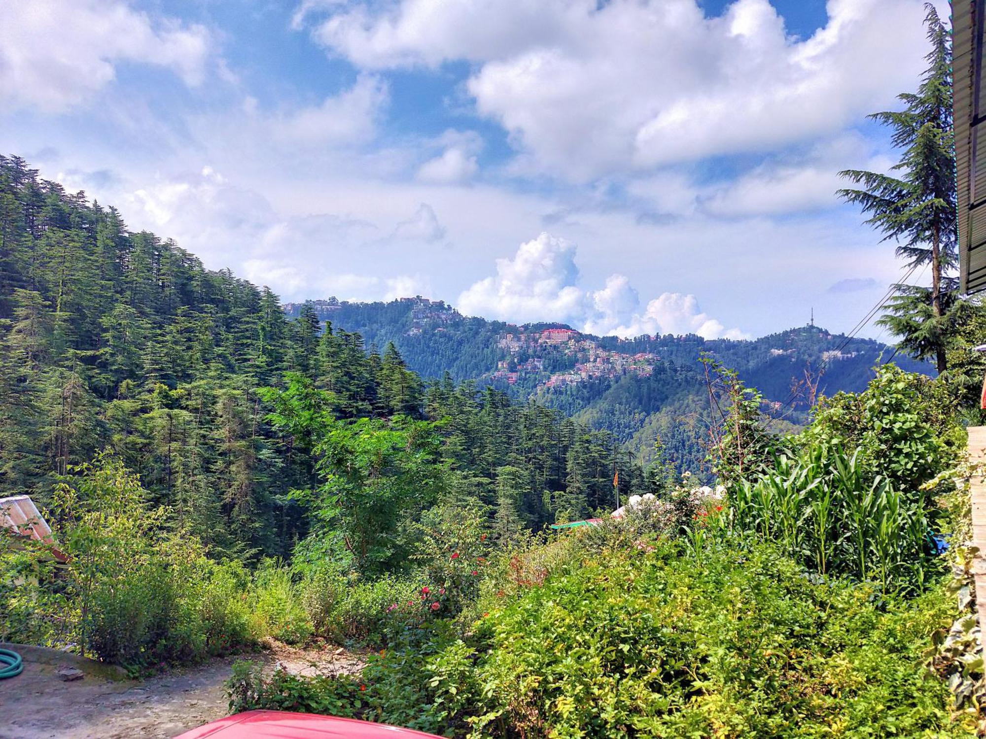 Neha Homestay Shimla Exterior photo