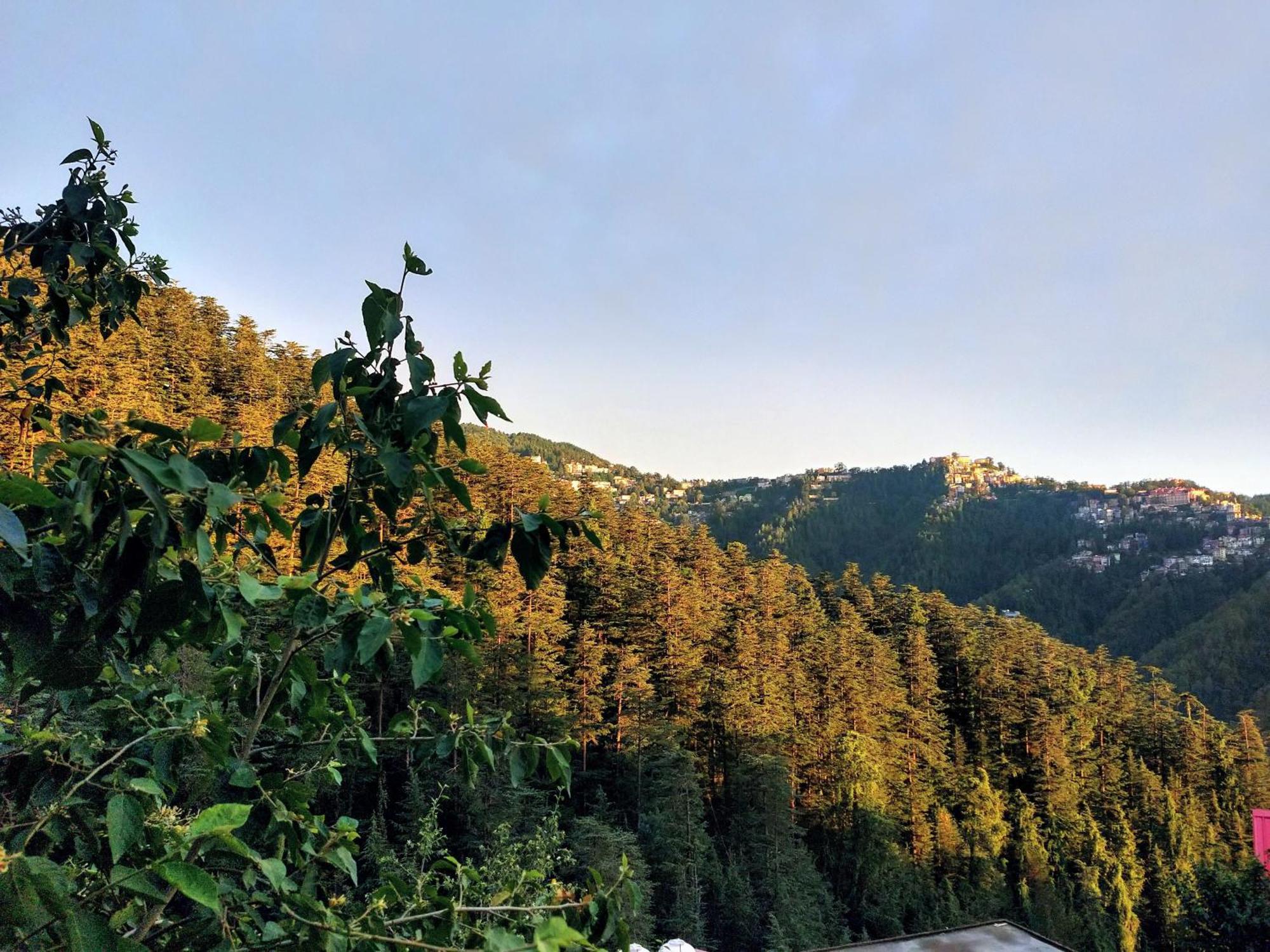 Neha Homestay Shimla Exterior photo