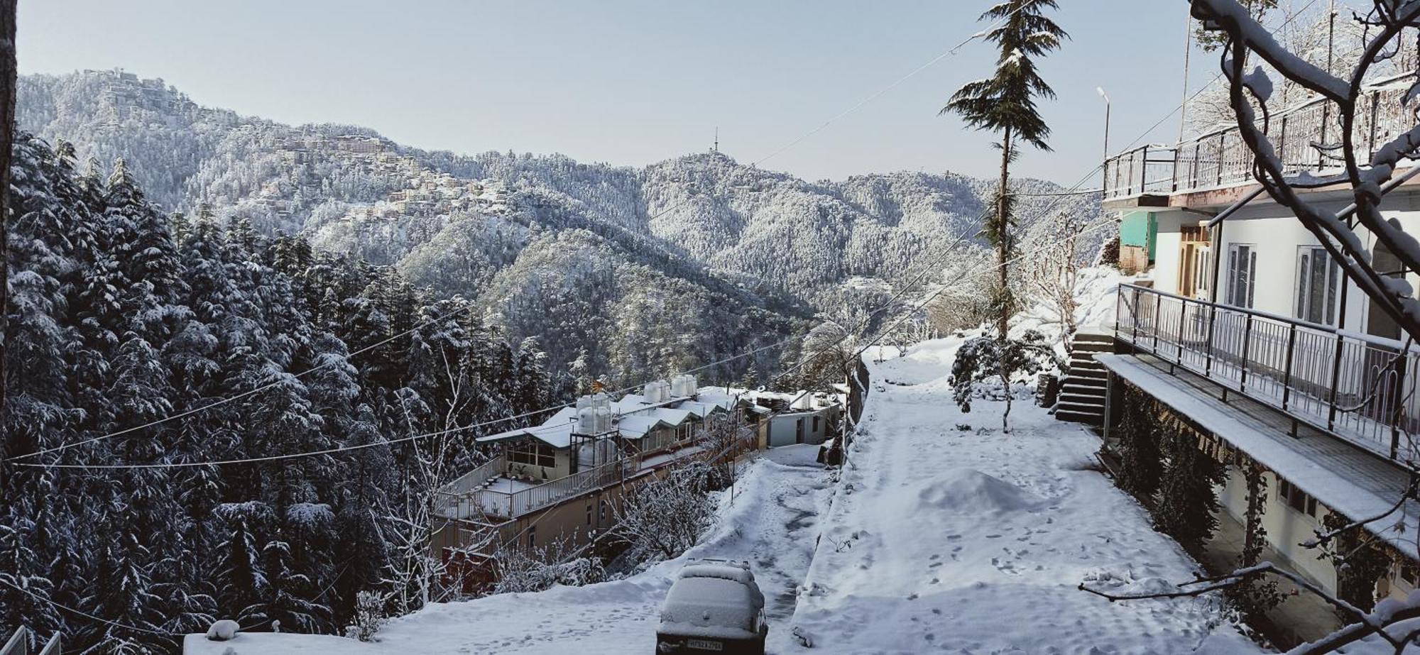 Neha Homestay Shimla Exterior photo